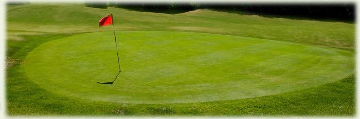 Hole 2 Green (c) John Kroetch Photography